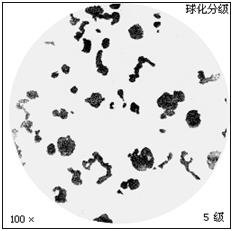 Ezpay科技检测
