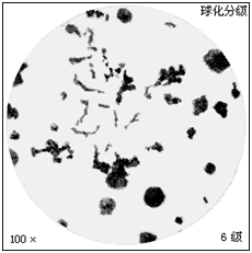 Ezpay科技检测